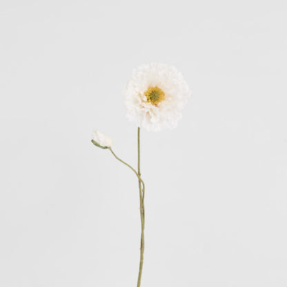 Poppy Stem 75cm White