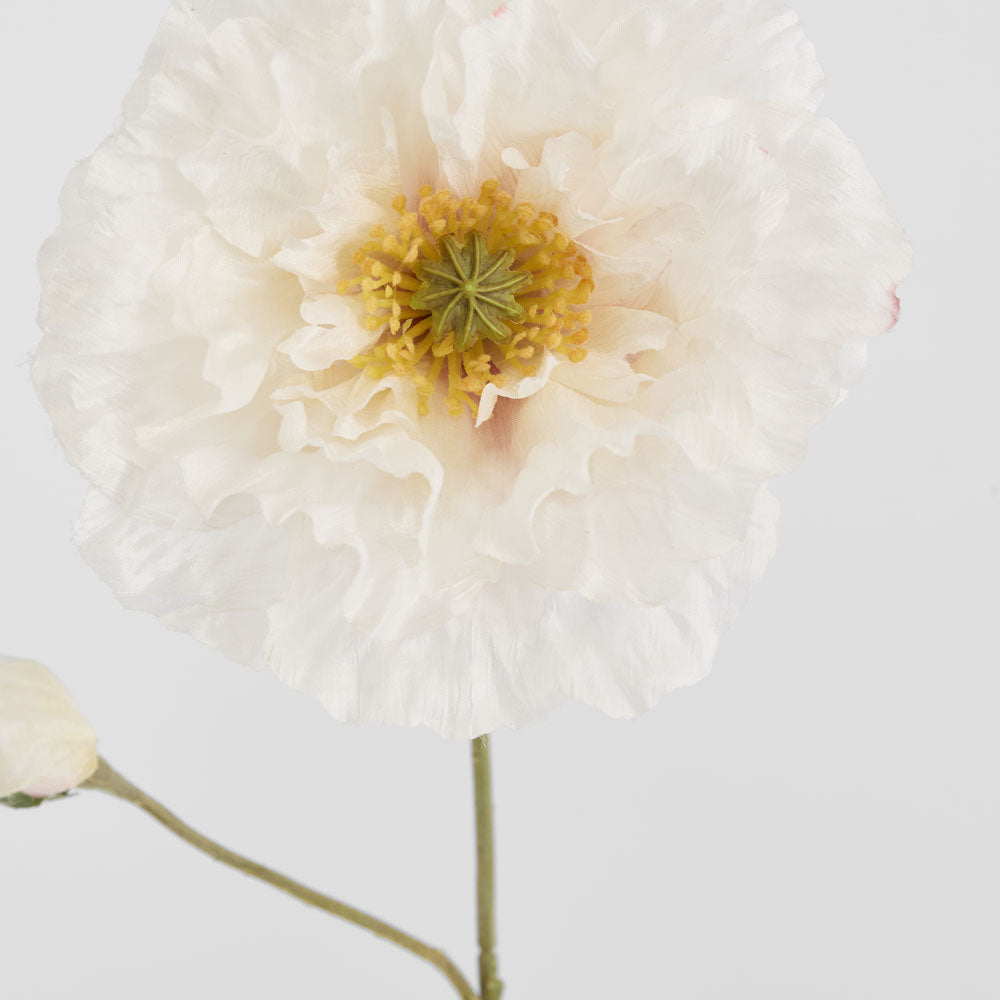 Poppy Stem 75cm White