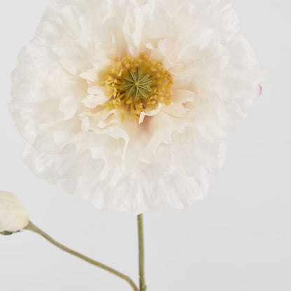 Poppy Stem 75cm White