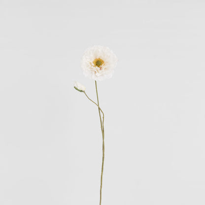 Poppy Stem 75cm White
