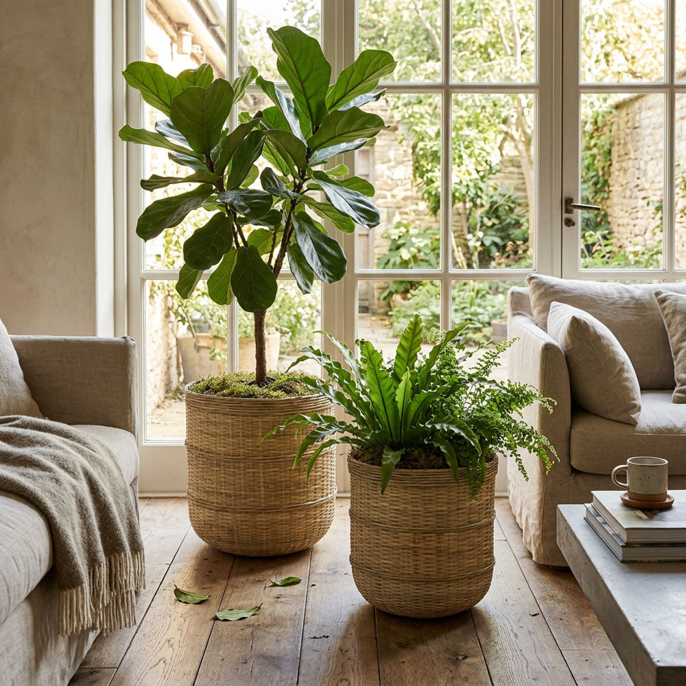 Village Planter Set of 2 Bamboo/Cement