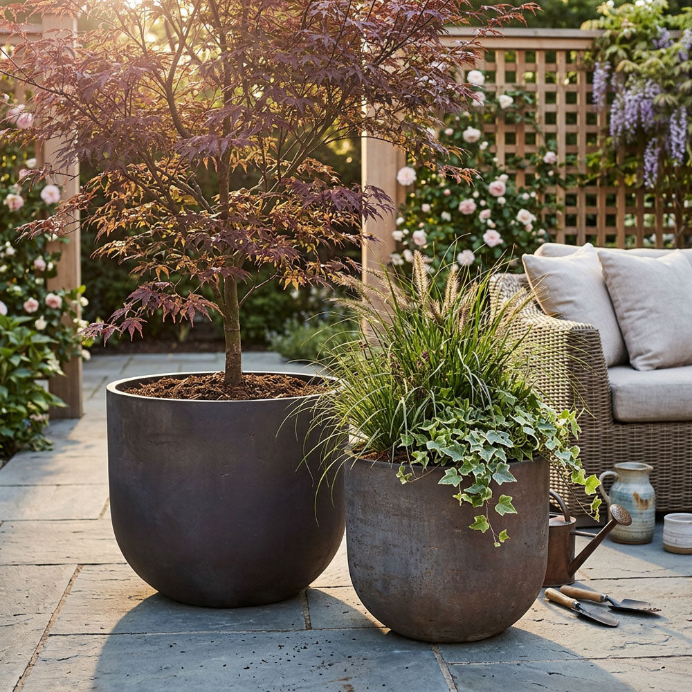 Oyster Lava Planter Small Set of 2 Brown