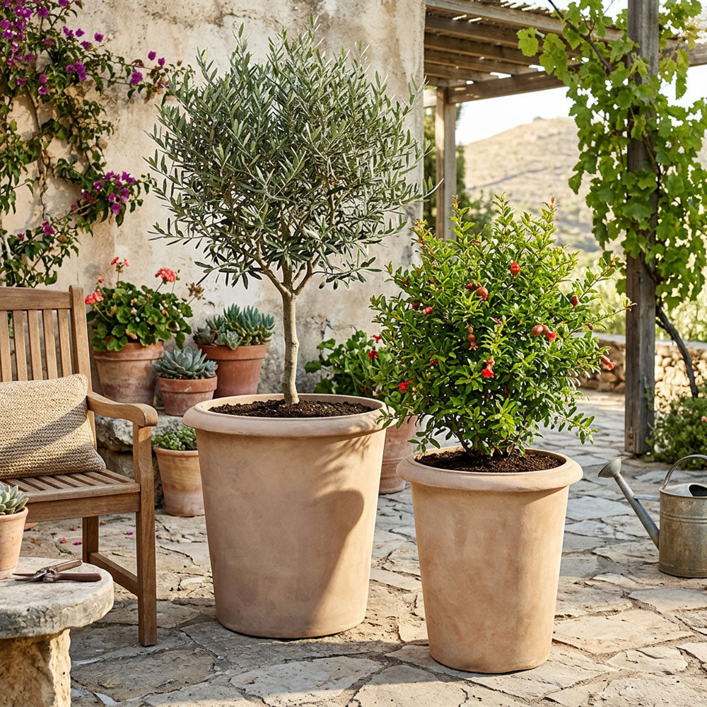 Paros Planter Set of 2 Terracotta