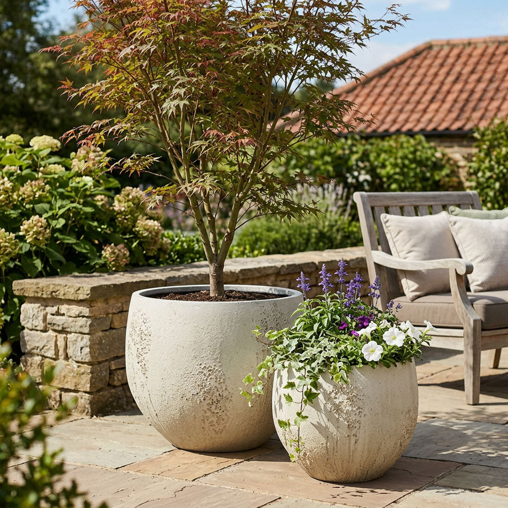 Oyster Planter SML Chalk