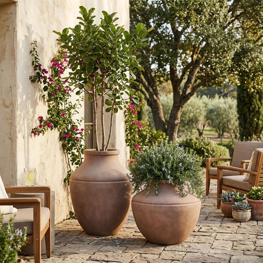 Palma Pot Terracotta