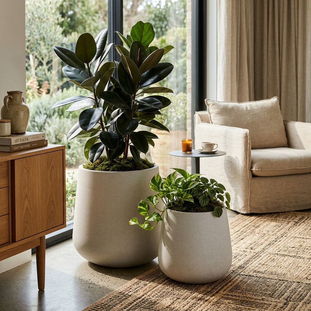 Tran Planter Set of 2 Beige
