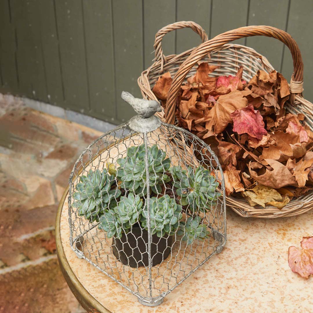 Willow Trug Set of 3