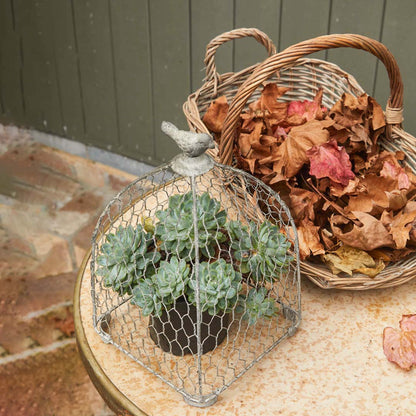 Willow Trug Set of 3