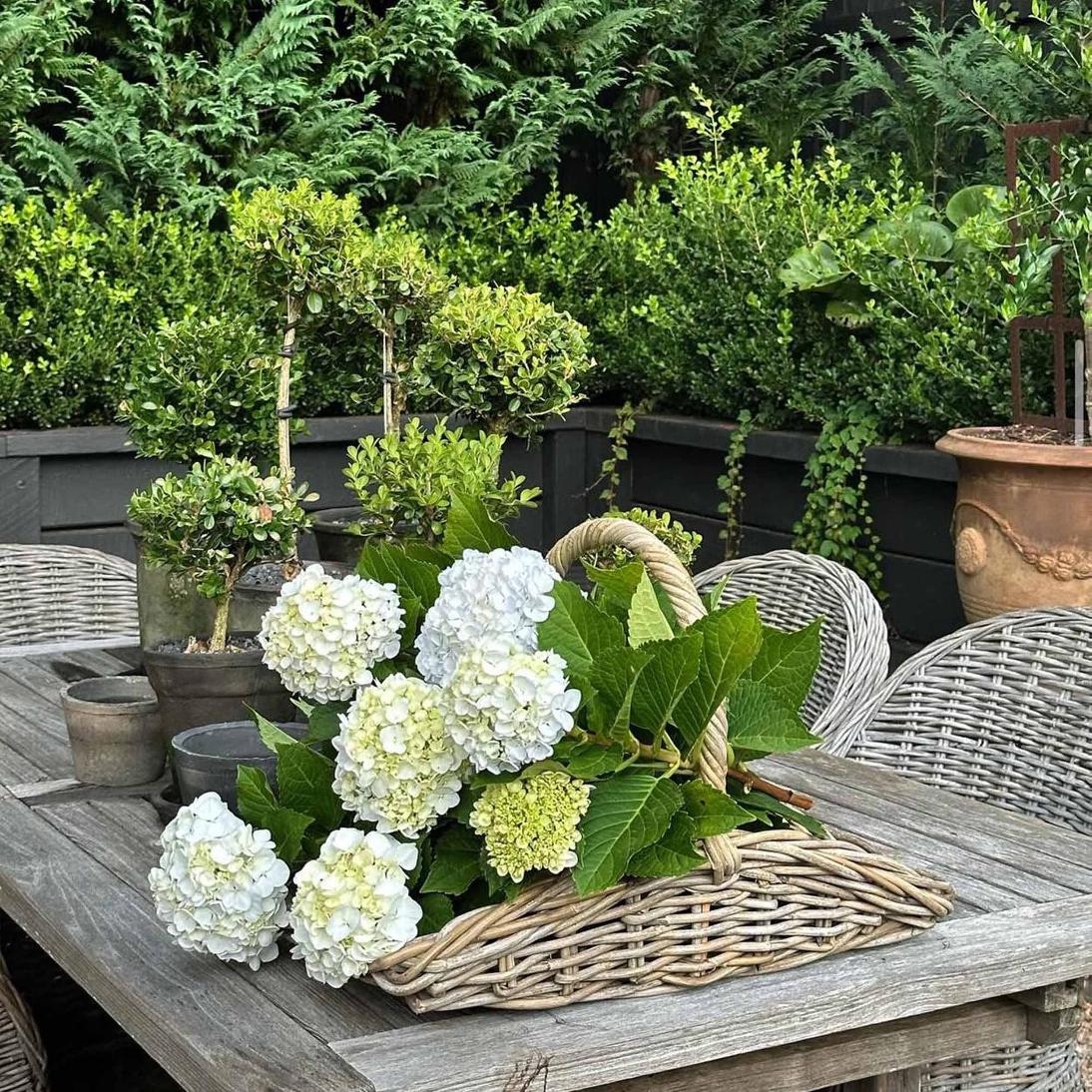 Luna Garden basket set of 2