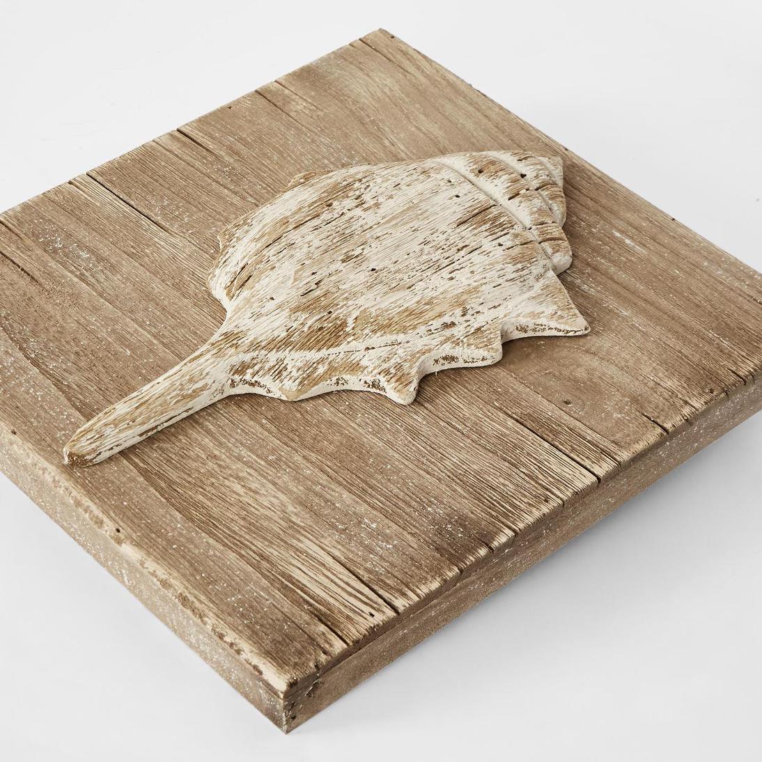 Murex Shell on Plaque