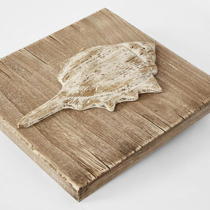 Murex Shell on Plaque