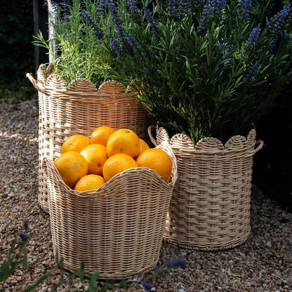 Festonne Baskets Set of 2
