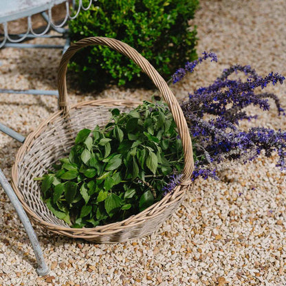 Provender Basket Set of 2