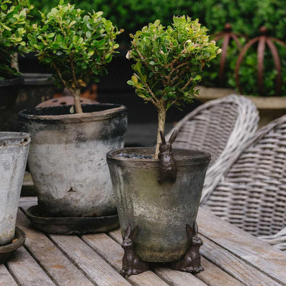 Hare Set of 3 Cast Iron Pot Feet