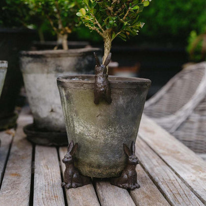 Benny Hare Cast Iron Pot Hugger