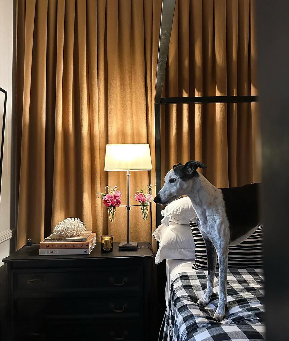 Lyon Lamp