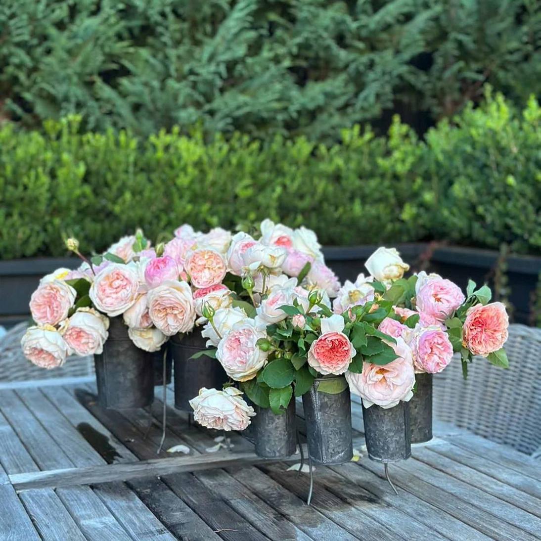 French Tin Centrepiece Medium