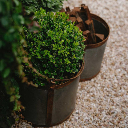 Set of 3 Bucket Planters Zinc