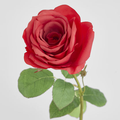 Cabbage Rose Real Touch 65cm Red