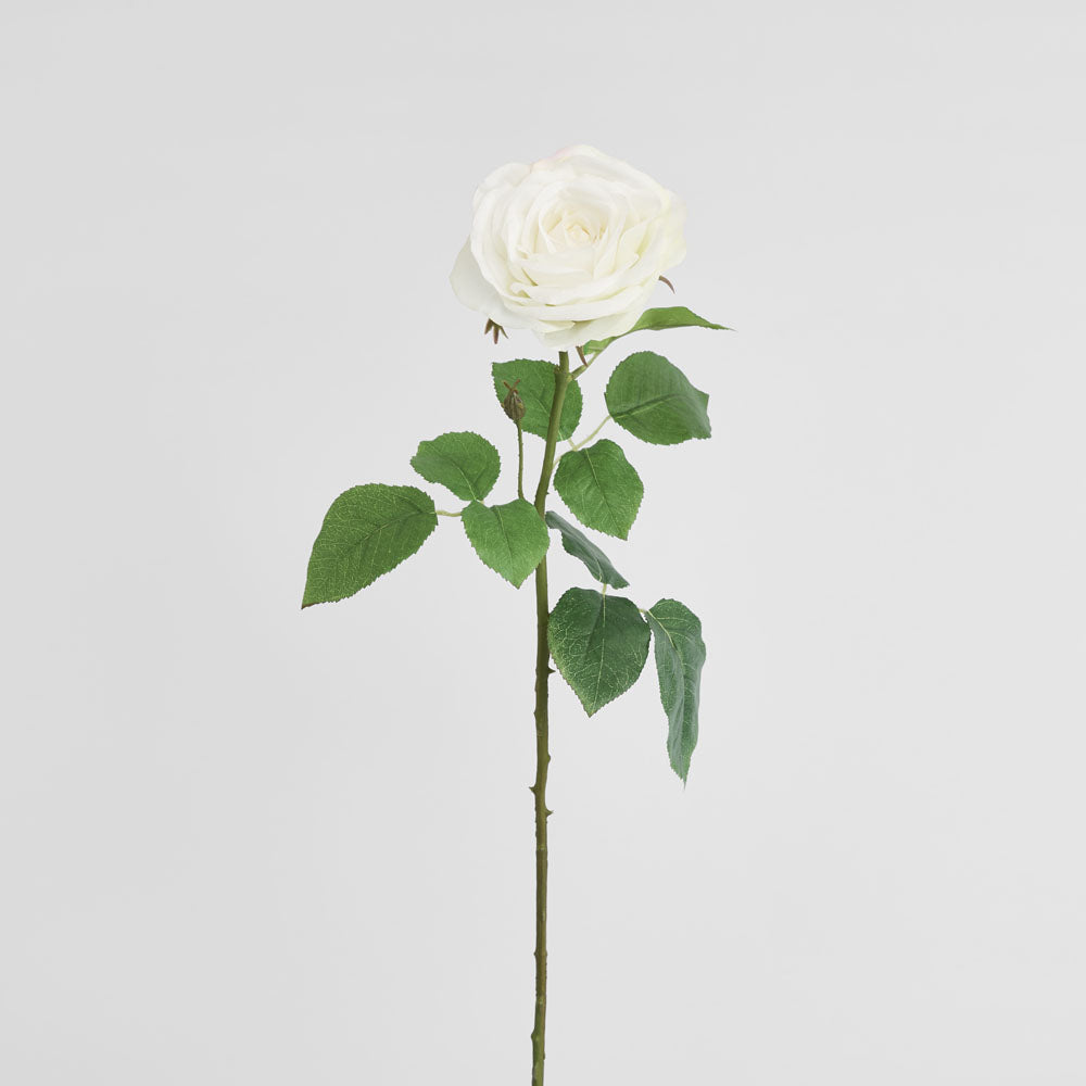 Cabbage Rose Real Touch 65cm White