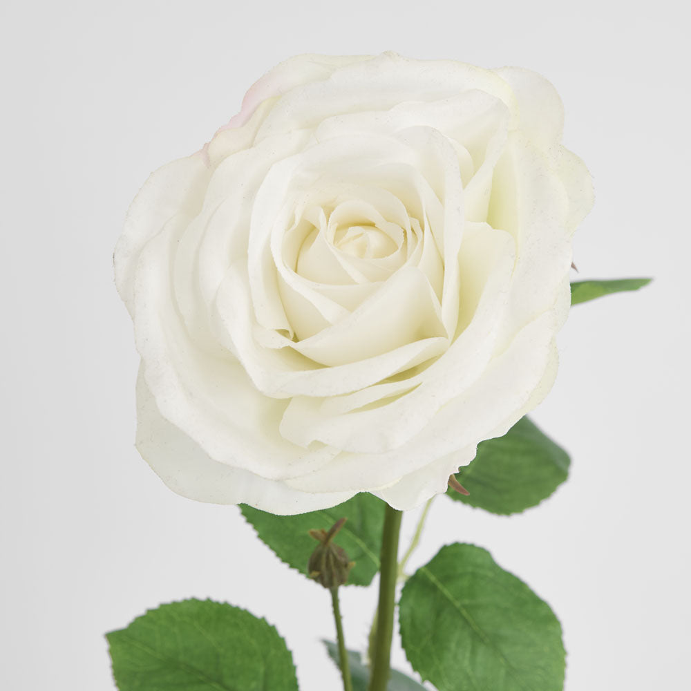 Cabbage Rose Real Touch 65cm White