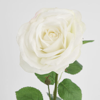 Cabbage Rose Real Touch 65cm White