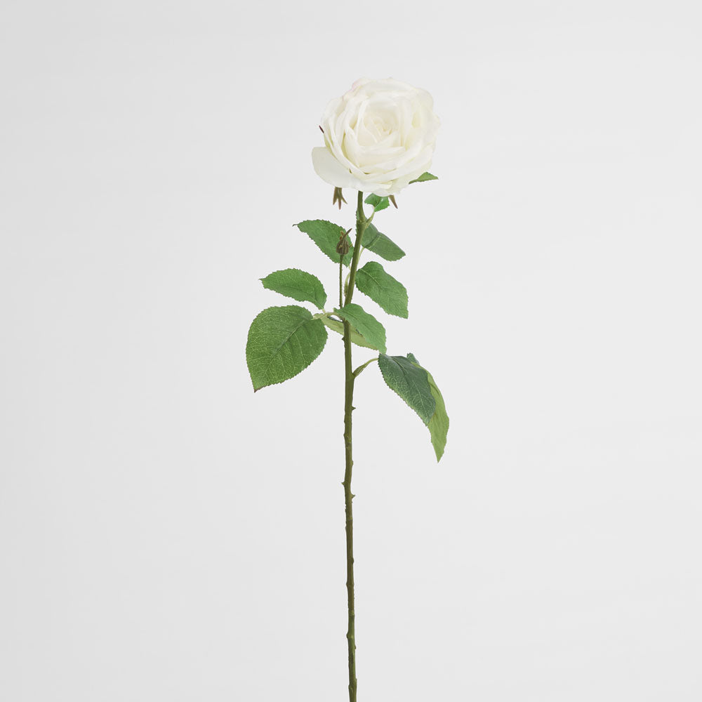 Cabbage Rose Real Touch 65cm White
