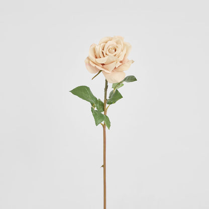Rose True Touch 50cm Blush