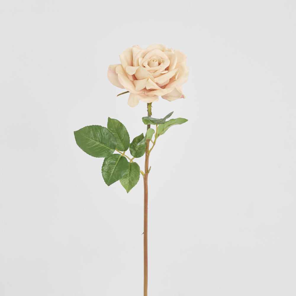 Rose True Touch 50cm Blush