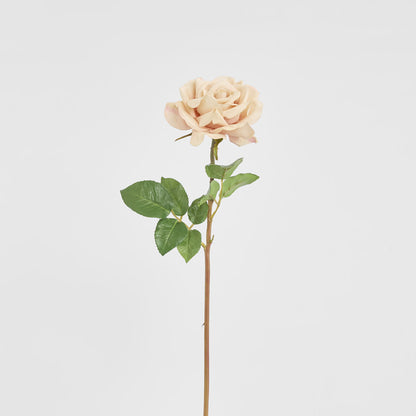 Rose True Touch 50cm Blush