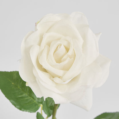 Rose True Touch 50cm White