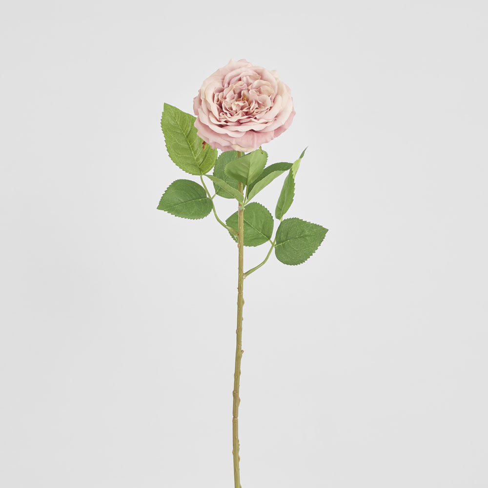 Dried Look English Rose Stem 50cm Blush