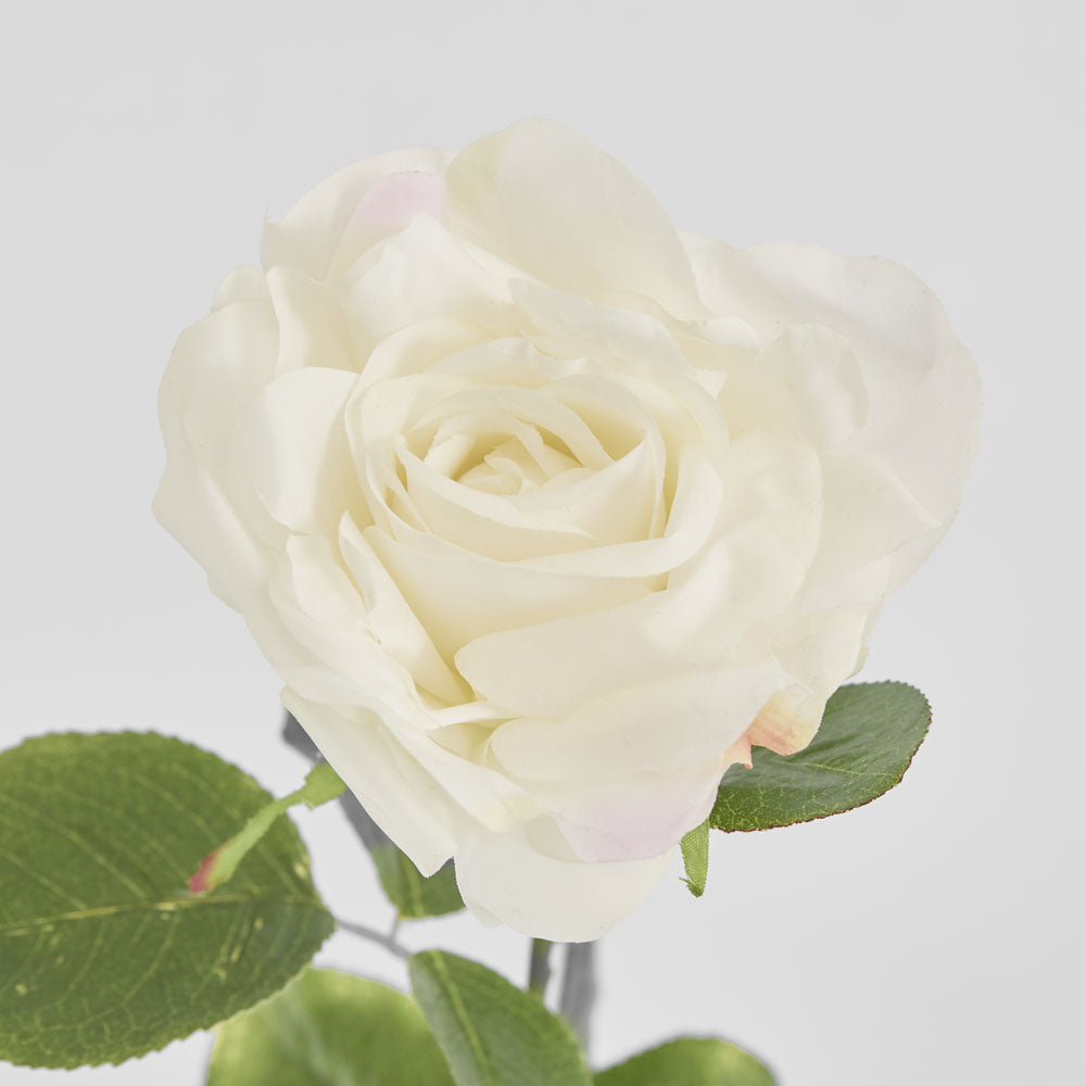 Eliza Soft Touch Rose 80cm White