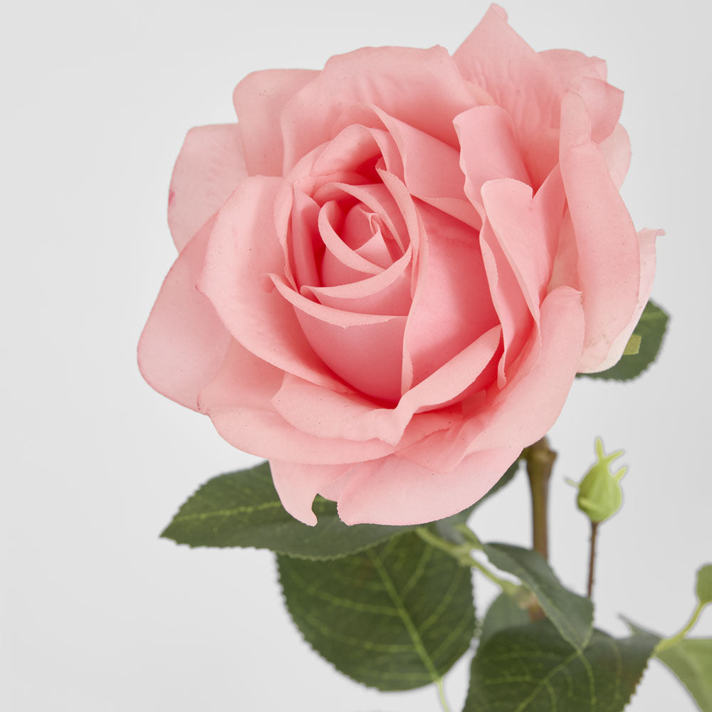 Belle Real Touch Rose Stem 65cm Pink