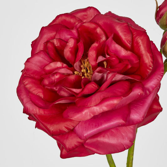 Real Touch Angelina Rose Spray Dark Pink