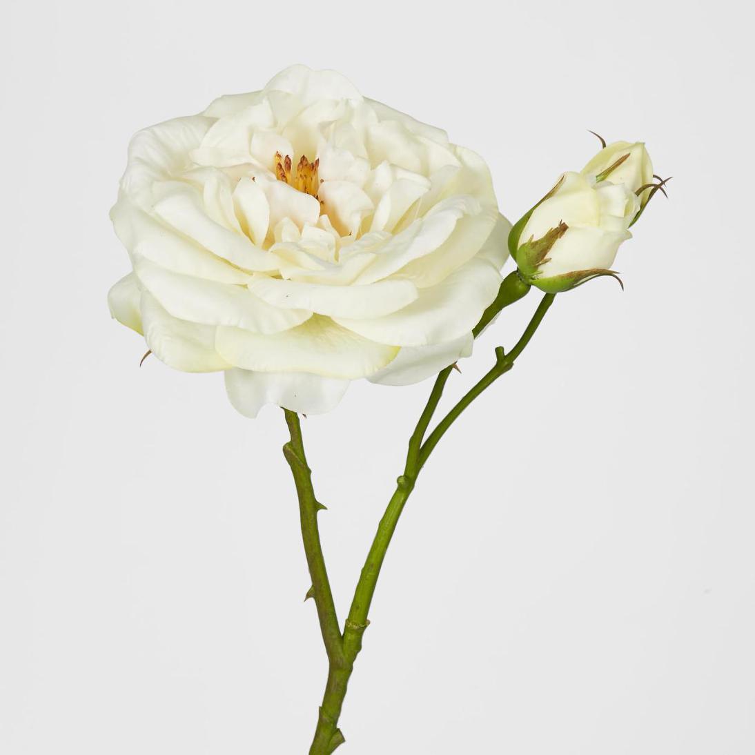 Real Touch Angelina Rose Spray White