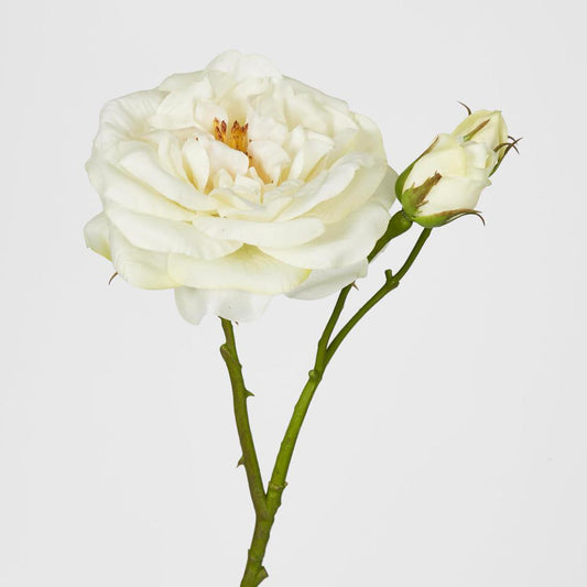 Real Touch Angelina Rose Spray White
