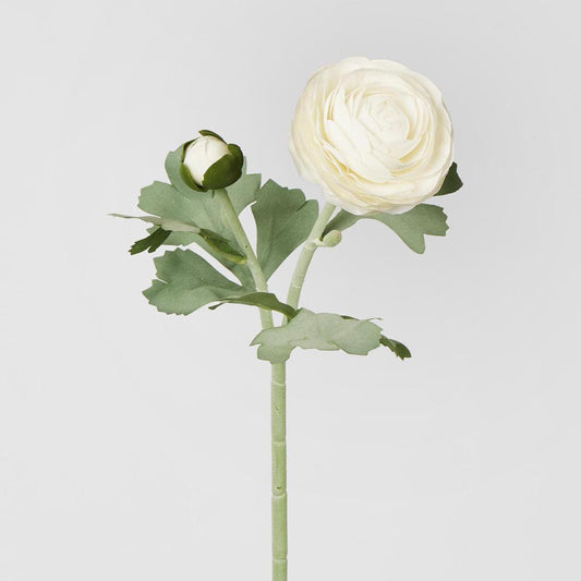Clara Pure White Ranunculus Spray 49cm