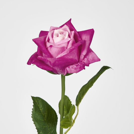 Ingrid Rose Real Touch Fuschia
46cm