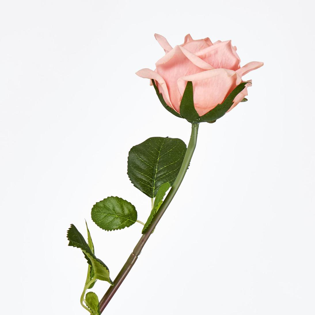 Ingrid Rose Real Touch Peach
46cm