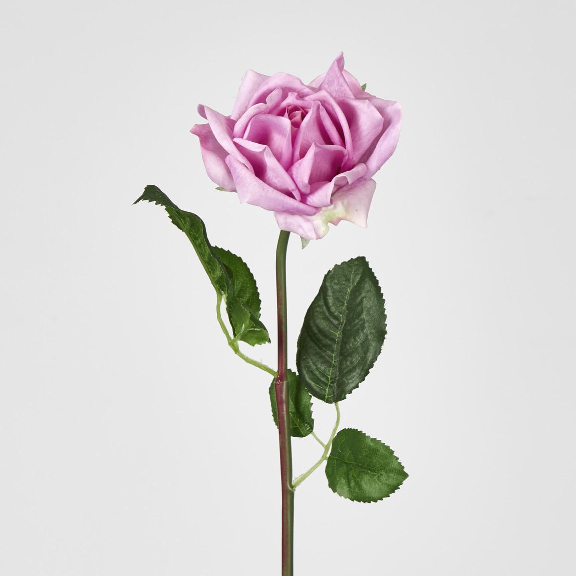 Ingrid Rose 46cm Mauve