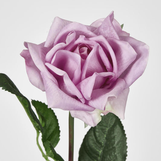 Ingrid Rose 46cm Mauve