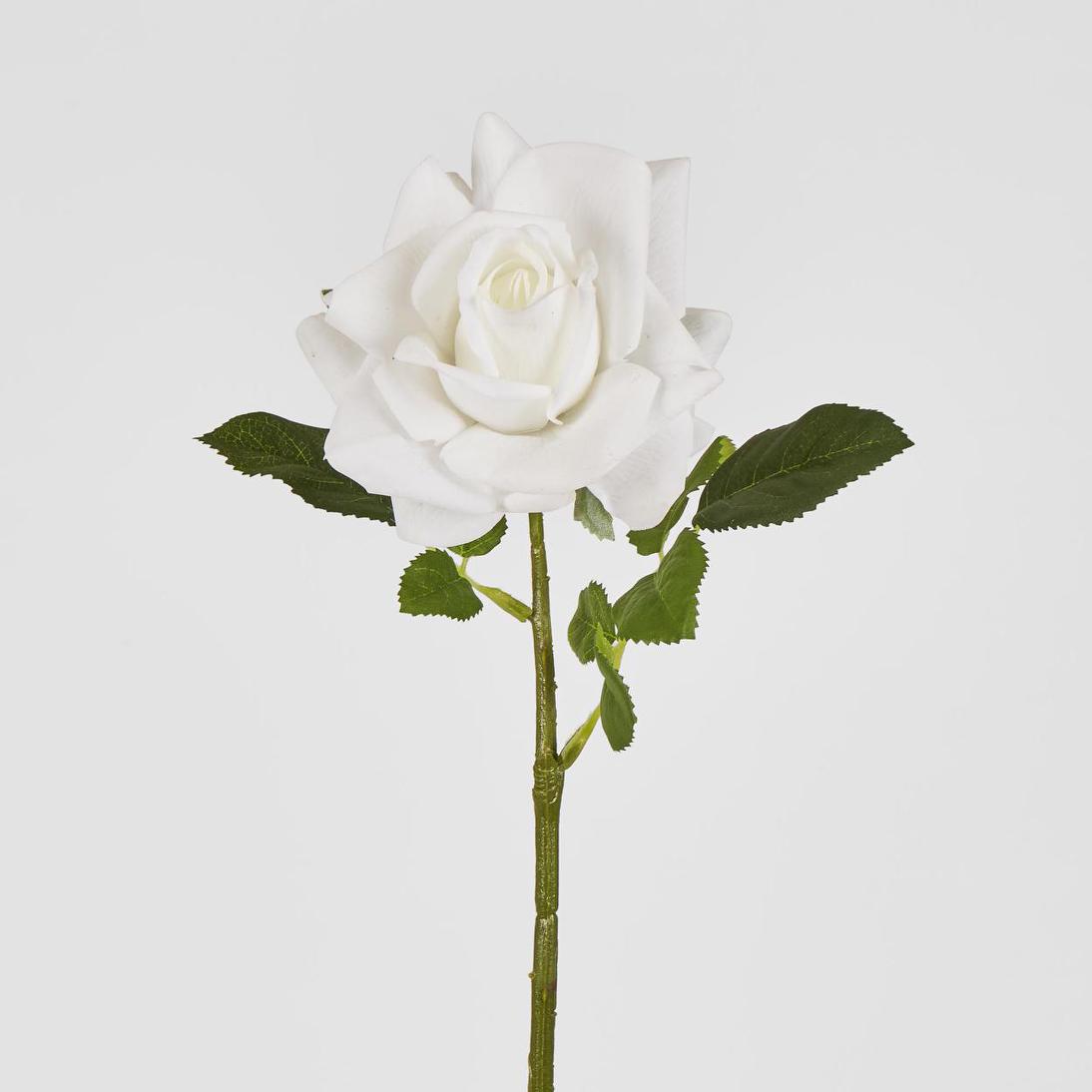 Walter Real Touch Rose Stem Ivory
61cm