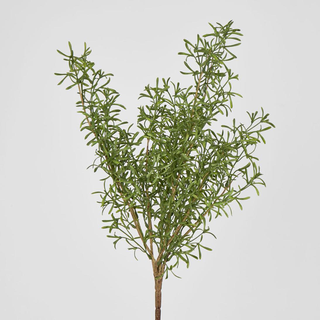Rosemary Spray – Florabelle Living