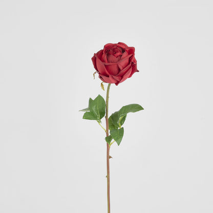 York Rose Short Stem 52cm Red