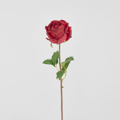 York Rose Short Stem 52cm Red