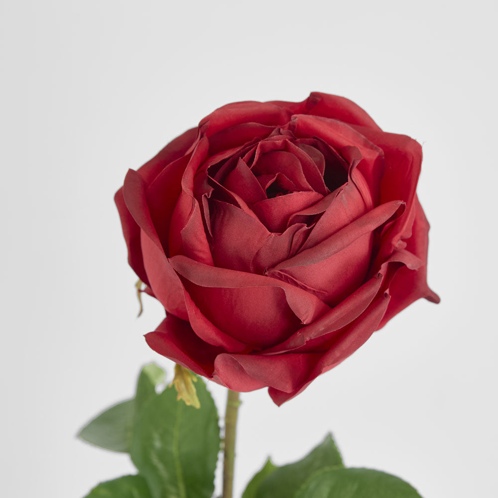 York Rose Short Stem 52cm Red