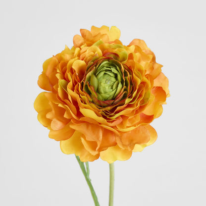 Ranunculus Stem 56cm Orange