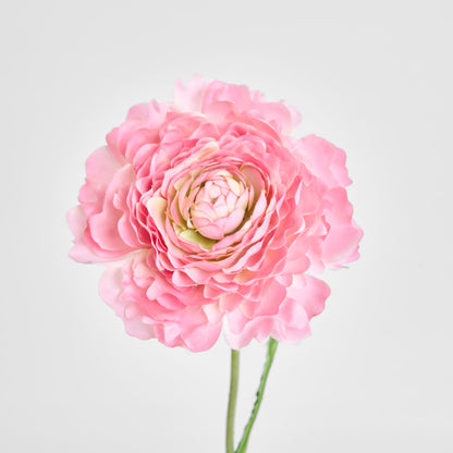 Ranunculus Stem 56cm Pink