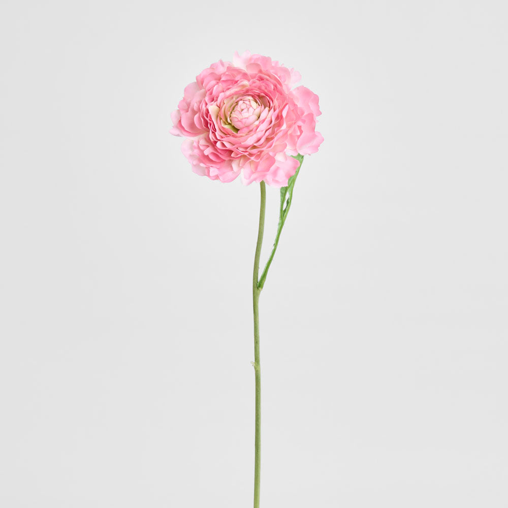 Ranunculus Stem 56cm Pink
